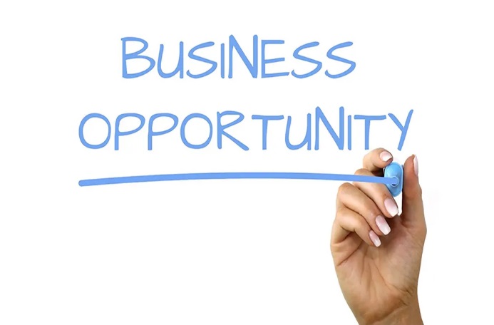 1. POS & Mobile Money Agent Business